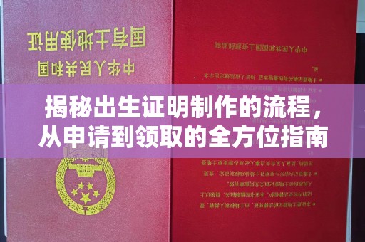 镇海揭秘出生证明制作的流程，从申请到领取的全方位指南