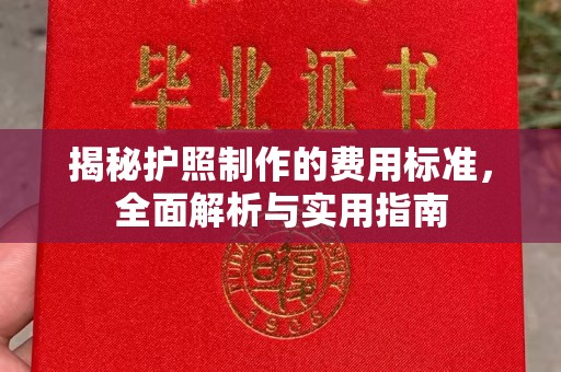 镇海揭秘护照制作的费用标准，全面解析与实用指南