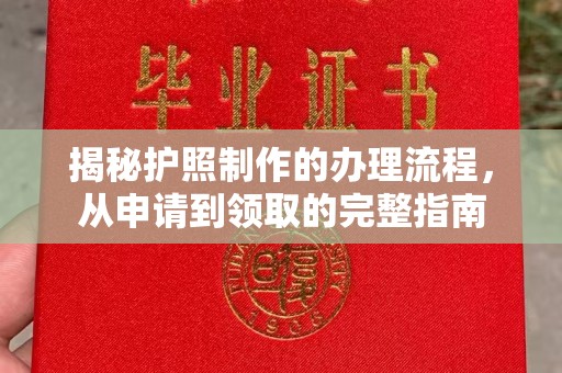 镇海揭秘护照制作的办理流程，从申请到领取的完整指南