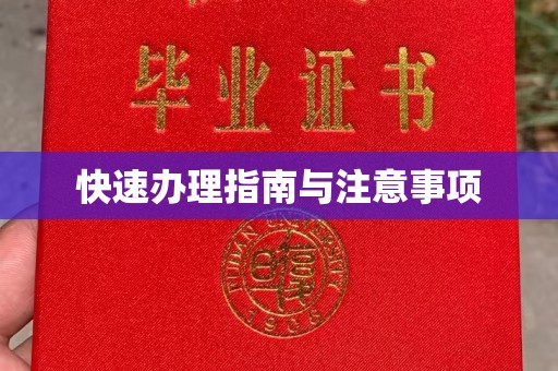 镇海快速办理指南与注意事项